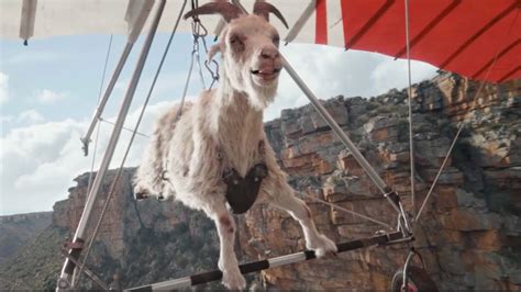 virgin media goat gliding.